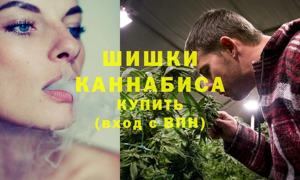 шишки Дмитров