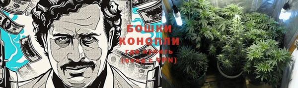 шишки Дмитров