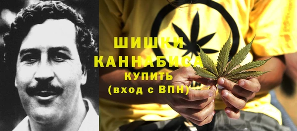 шишки Дмитров