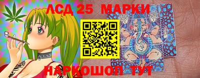 гашик Кинель