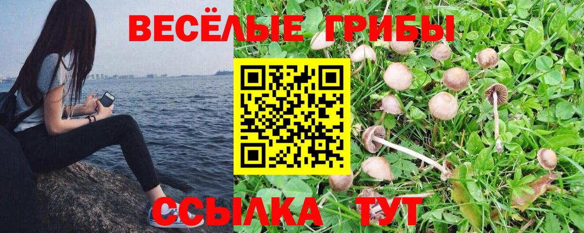 Псилоцибиновые грибы ЛСД  Вход с VPN  Псилоцибиновые грибы прущие грибы  Острогожск 