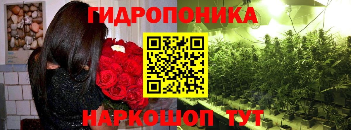 Шишки марихуана конопля  МАРИХУАНА SATIVA & INDICA  Конопля сатива  Шишки марихуана THC 21%  Острогожск 