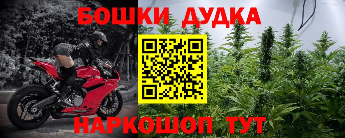 Каннабис план Острогожск